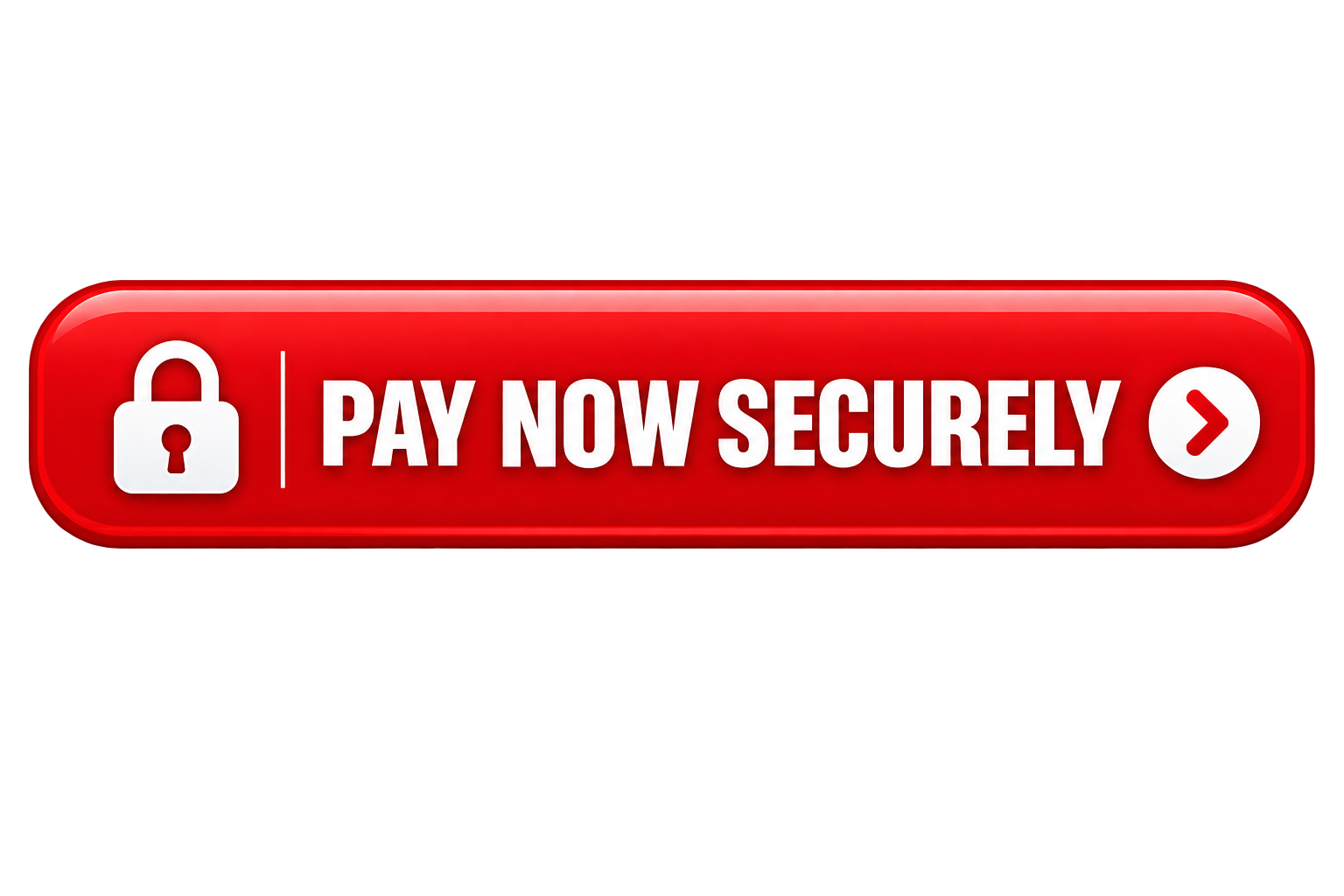 Pay Now Securely